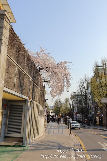 20251013-3lg66 20251013-3lg66