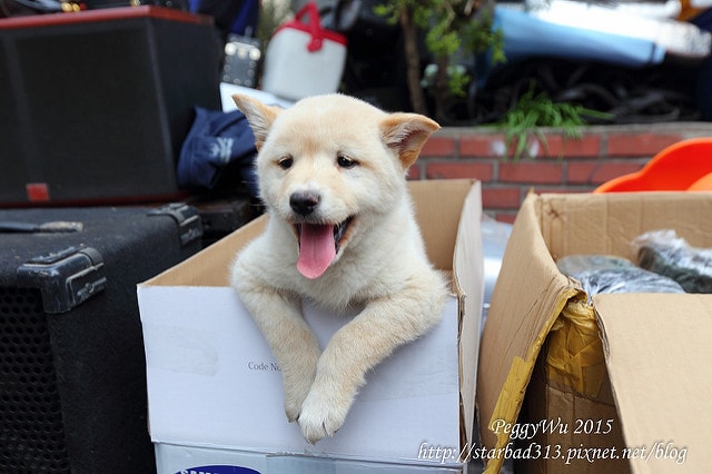 20251013-6bfsr 20251013-6bfsr