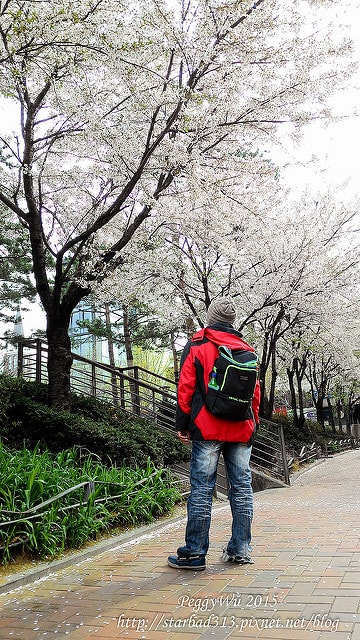 20251013-b08pd 20251013-b08pd