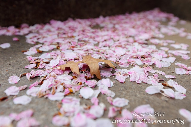 20251013-rrghs 20251013-rrghs