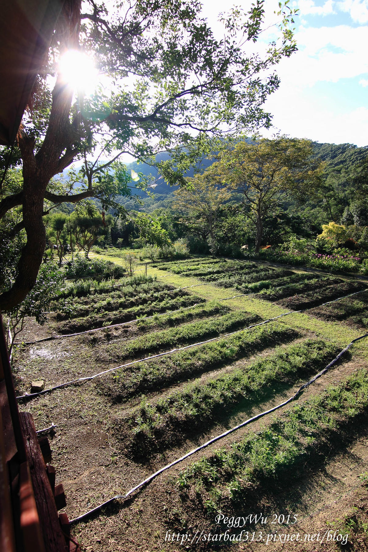 20251013-96qsn 20251013-96qsn