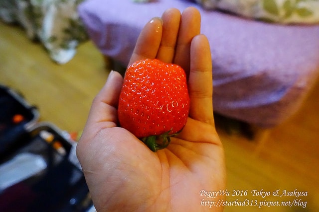 20251013-459rc 20251013-459rc