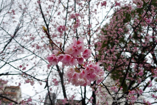 20251013-1mmja 20251013-1mmja