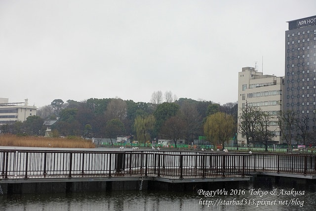 20251013-4ks4a 20251013-4ks4a