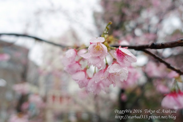 20251013-4yvca 20251013-4yvca