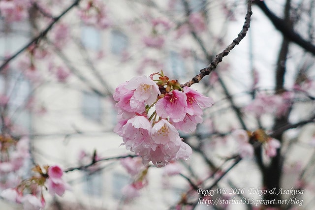 20251013-5v26z 20251013-5v26z