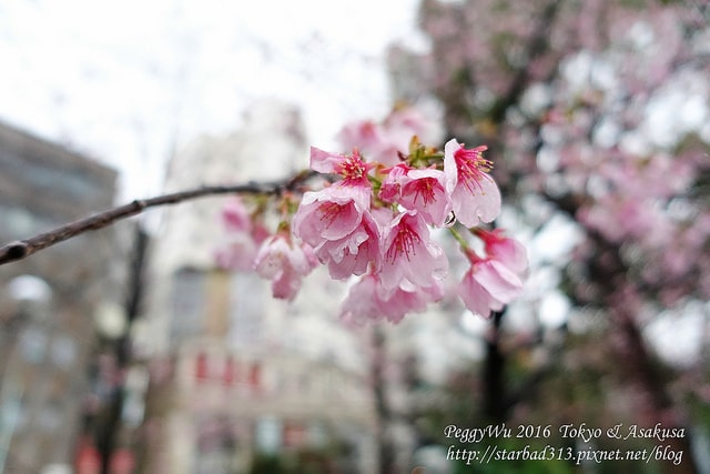 20251013-6r4f7 20251013-6r4f7