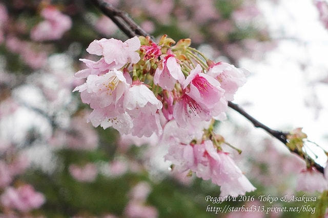 20251013-7uedw 20251013-7uedw