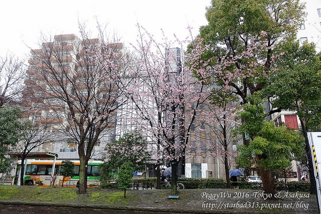 20251013-bj3zd 20251013-bj3zd