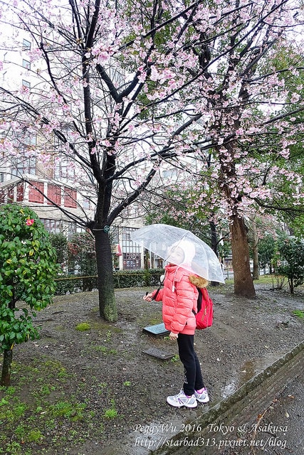 20251013-ciij4 20251013-ciij4