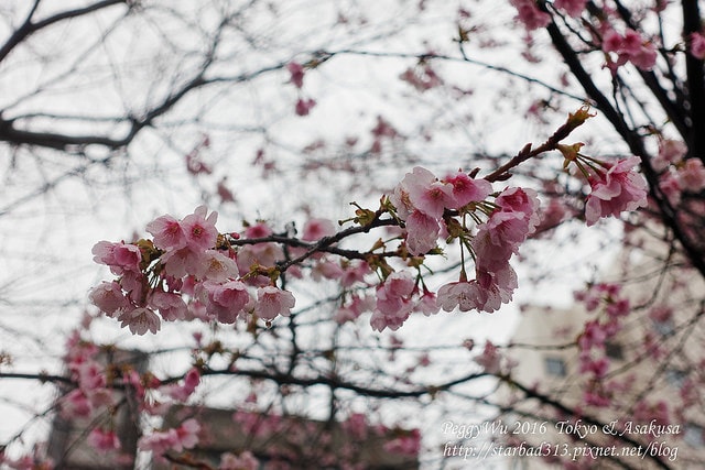 20251013-dnc2g 20251013-dnc2g