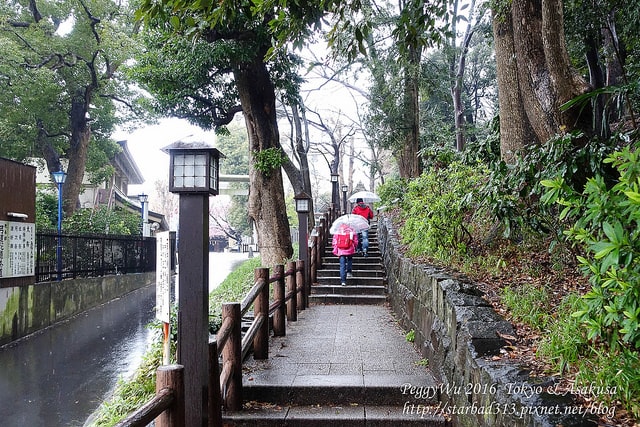 20251013-dslx7 20251013-dslx7