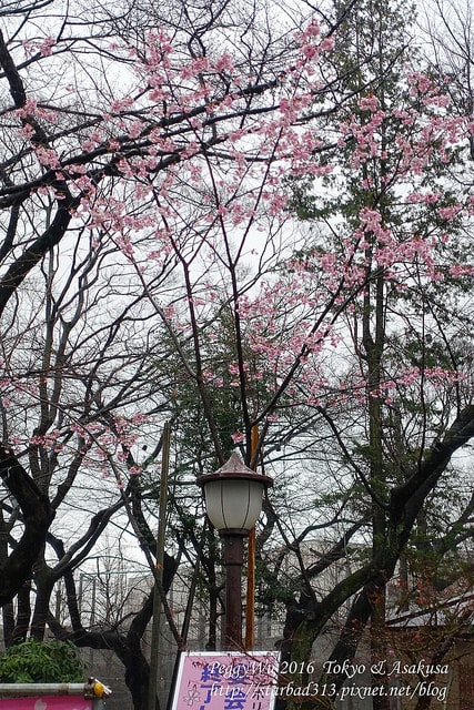 20251013-e98cx 20251013-e98cx