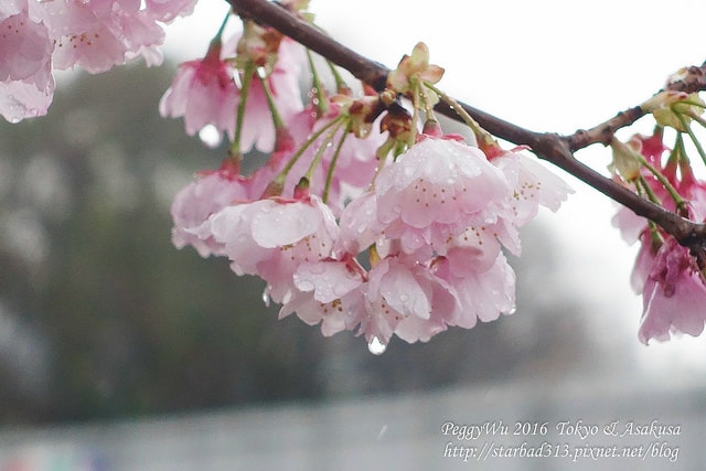 20251013-kn6gu 20251013-kn6gu