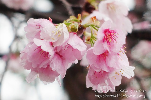 20251013-oi86k 20251013-oi86k