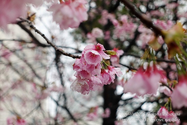 20251013-q8pj7 20251013-q8pj7