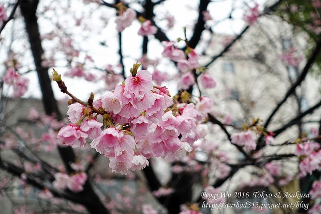 20251013-rcx2p 20251013-rcx2p