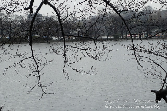 20251013-u55wb 20251013-u55wb