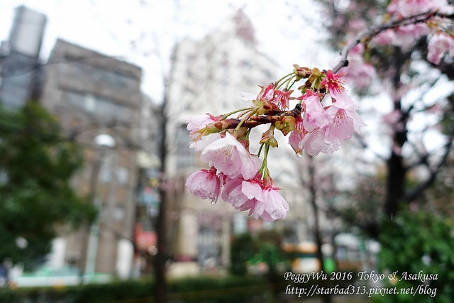 20251013-w7k9u 20251013-w7k9u