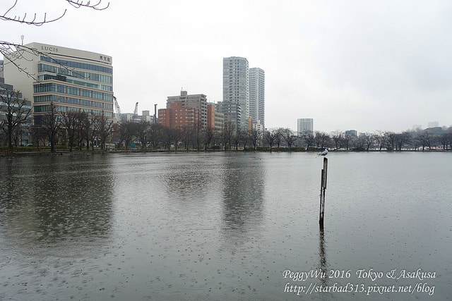 20251013-wahuy 20251013-wahuy