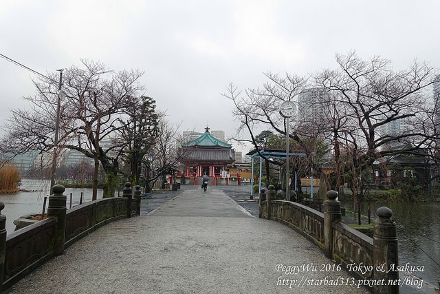 20251013-zjl45 20251013-zjl45