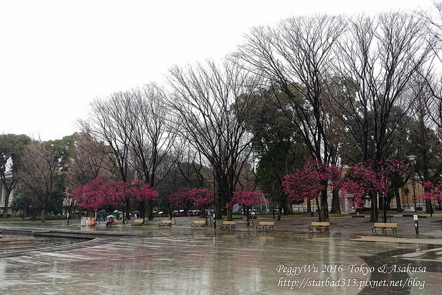 20251013-znpkc 20251013-znpkc