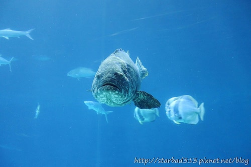 20251013-02jf4 20251013-02jf4