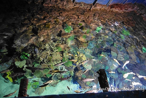 20251013-03yoh 20251013-03yoh