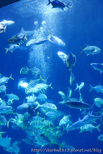 20251013-0811h 20251013-0811h