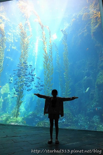 20251013-1bbzp 20251013-1bbzp