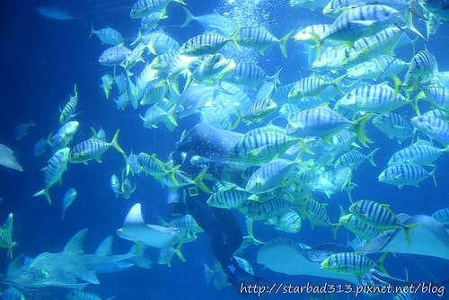 20251013-1li1y 20251013-1li1y