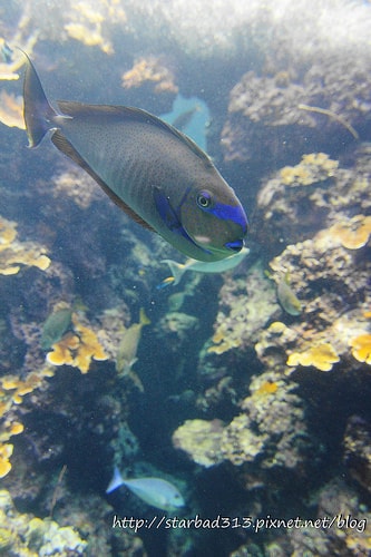 20251013-1nz46 20251013-1nz46