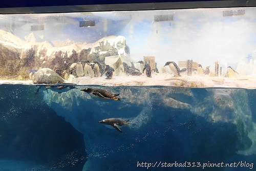 20251013-1zl0x 20251013-1zl0x