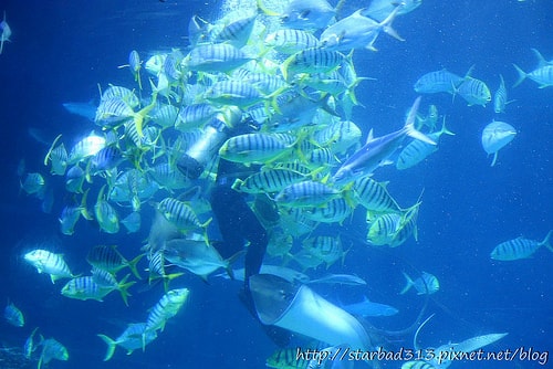 20251013-22egf 20251013-22egf