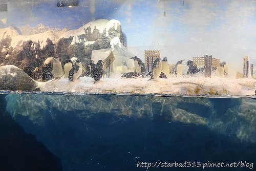 20251013-282cs 20251013-282cs