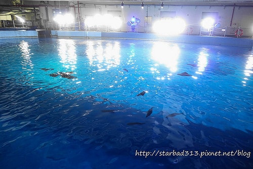 20251013-2iilz 20251013-2iilz