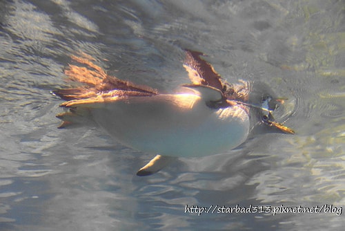 20251013-2jjn6 20251013-2jjn6