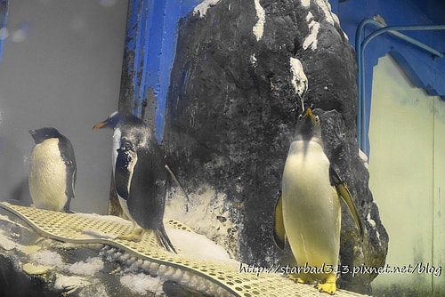 20251013-31d7j 20251013-31d7j