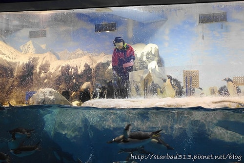 20251013-3ngw0 20251013-3ngw0