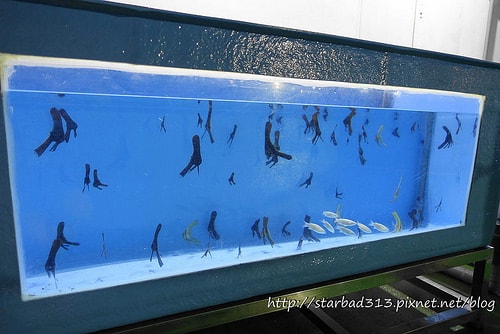 20251013-3p3oy 20251013-3p3oy