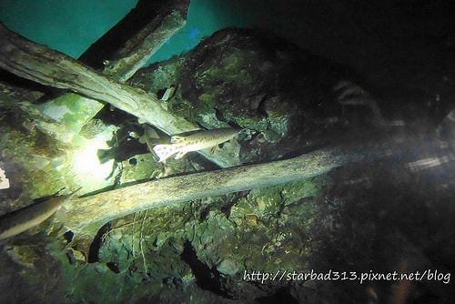 20251013-4awz3 20251013-4awz3