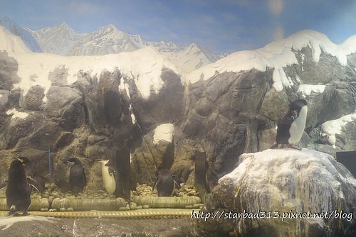 20251013-4f2o2 20251013-4f2o2