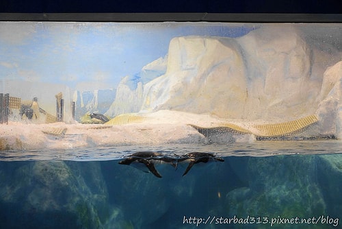 20251013-52ncq 20251013-52ncq