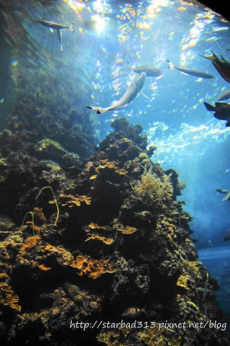 20251013-53w08 20251013-53w08