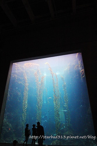 20251013-58f5g 20251013-58f5g