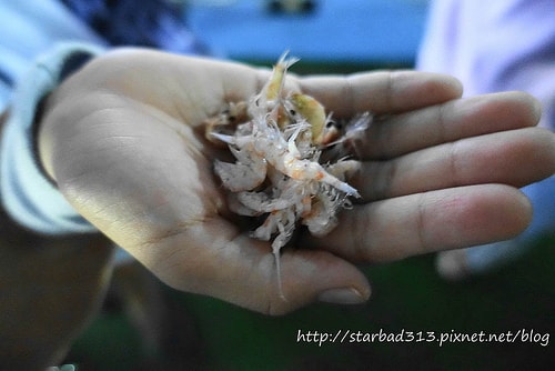 20251013-5ehqh 20251013-5ehqh