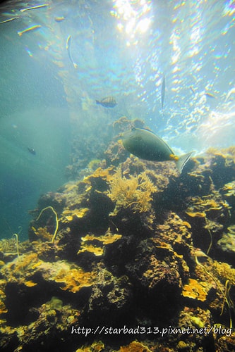 20251013-5jhr4 20251013-5jhr4