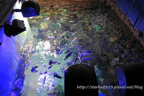 20251013-6irkr 20251013-6irkr