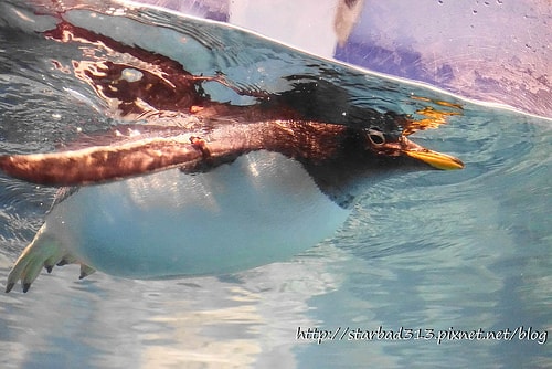 20251013-6jhuq 20251013-6jhuq