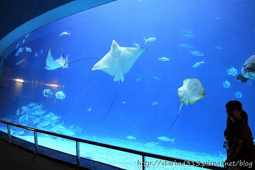 20251013-74d4u 20251013-74d4u